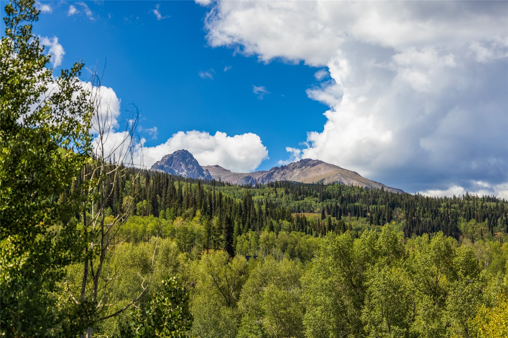 240 Game Trail Road Silverthorne, CO 80498 - Photo 41 of 50 Gallery Image 41