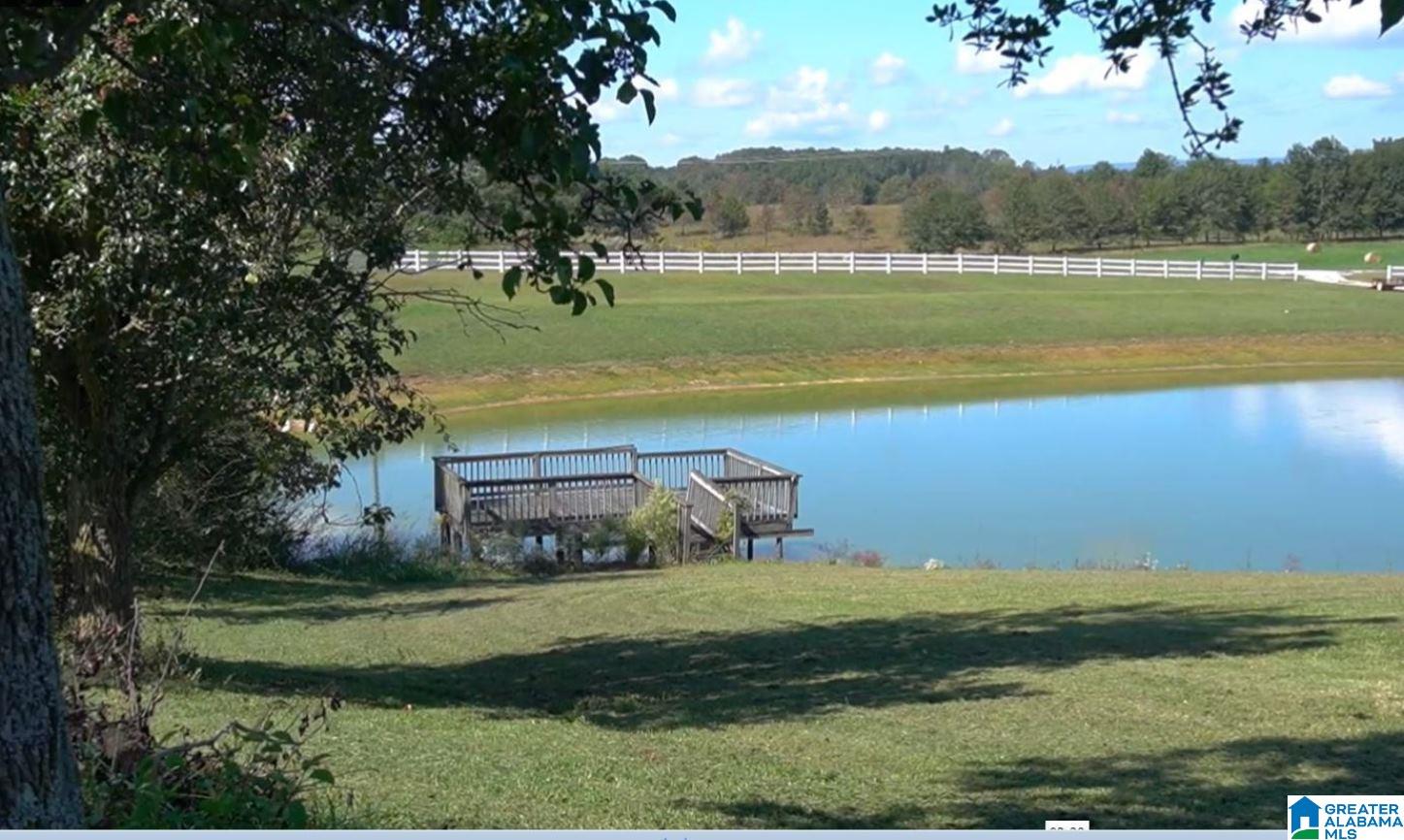 315 Graben Road Lineville, AL 36266 - Photo 34 of 38