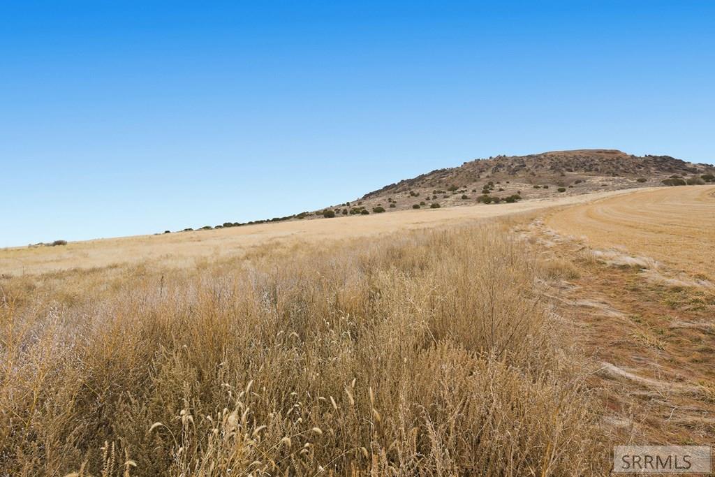 Tbd East Butte Road Menan, ID 83434 - Photo 6 of 6