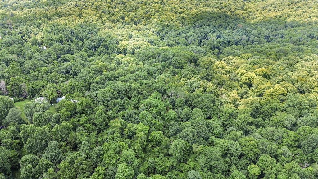 0 Calaway Road, Unit TRACT 5) Coolville, OH 45723 - Photo 25 of 32 DJI_0019