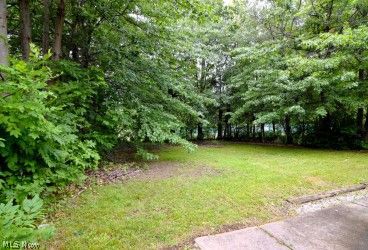 19219 Firwood Road Cleveland, OH 44110 - Photo 12 of 15