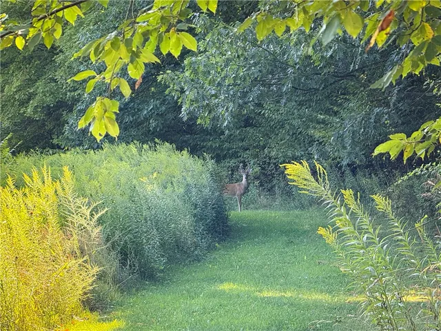 $1,650,000 | 4040 County Road 141, Covert, NY 14847