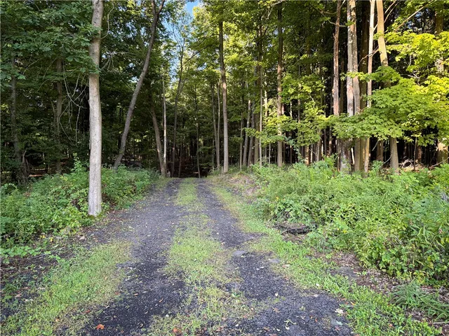 $1,650,000 | 4040 County Road 141, Covert, NY 14847