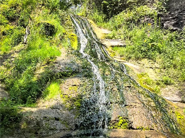 $1,650,000 | 4040 County Road 141, Covert, NY 14847