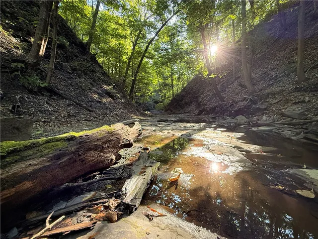 $1,650,000 | 4040 County Road 141, Covert, NY 14847