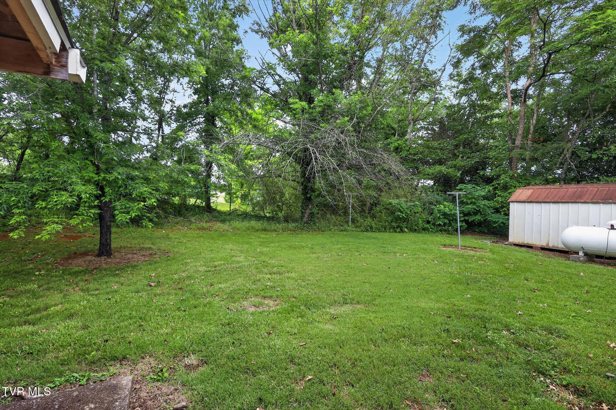 1213 East Church Street Greeneville, TN 37745 - Photo 29 of 30 29-1213-E-Church-St-WindowStill-Photogra