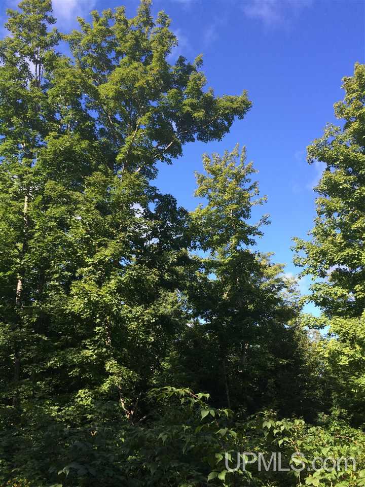 Tbd Off Misery Bay Road, Unit S2SE Toivola, MI 49965 - Photo 3 of 10