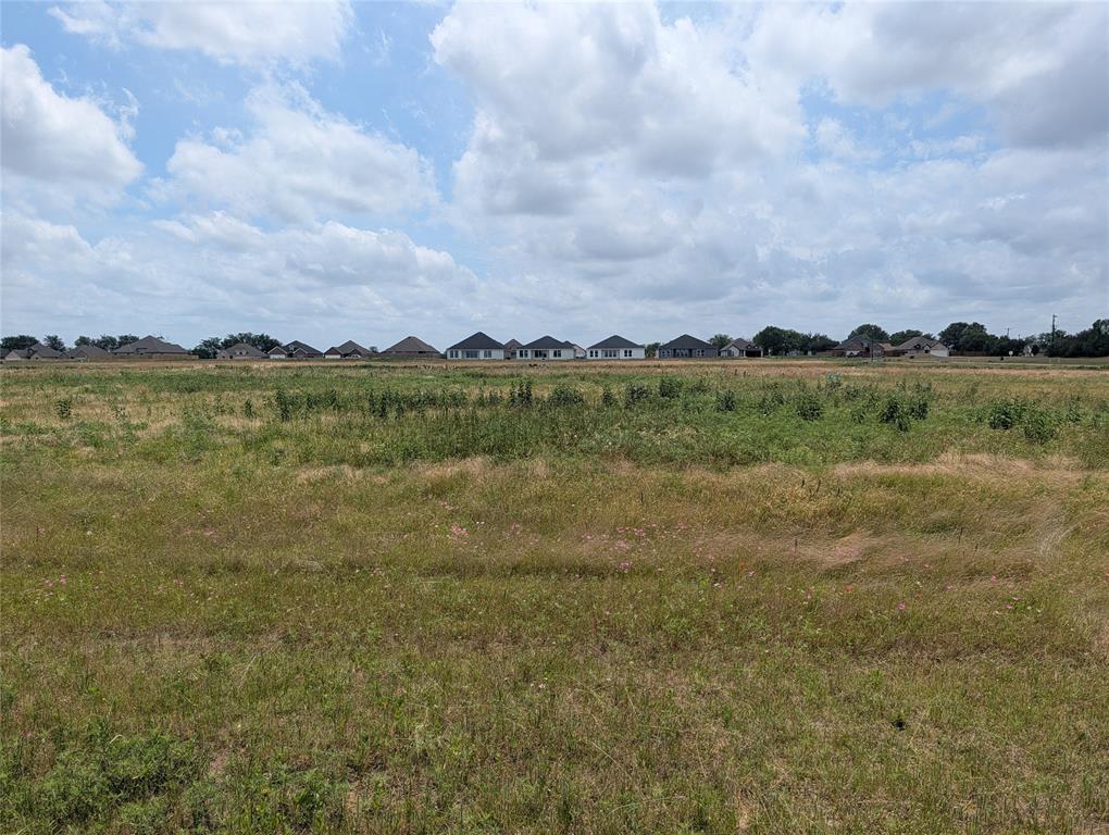 1050 Autumn Trail Mabank, TX 75147 - Photo 1 of 3