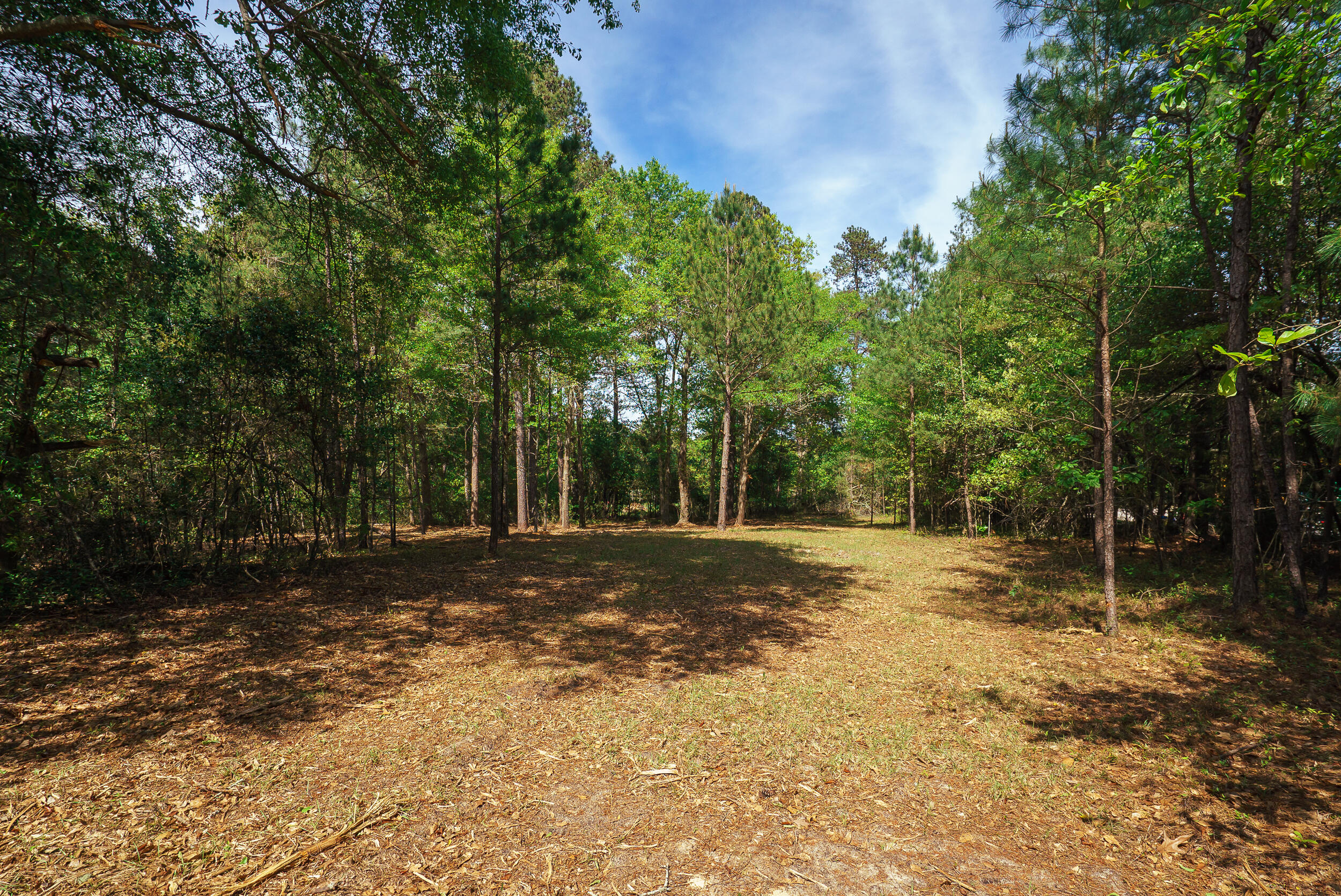 Lot 3 Banks Mill Road Southeast Aiken, SC 29803 - Photo 31 of 42