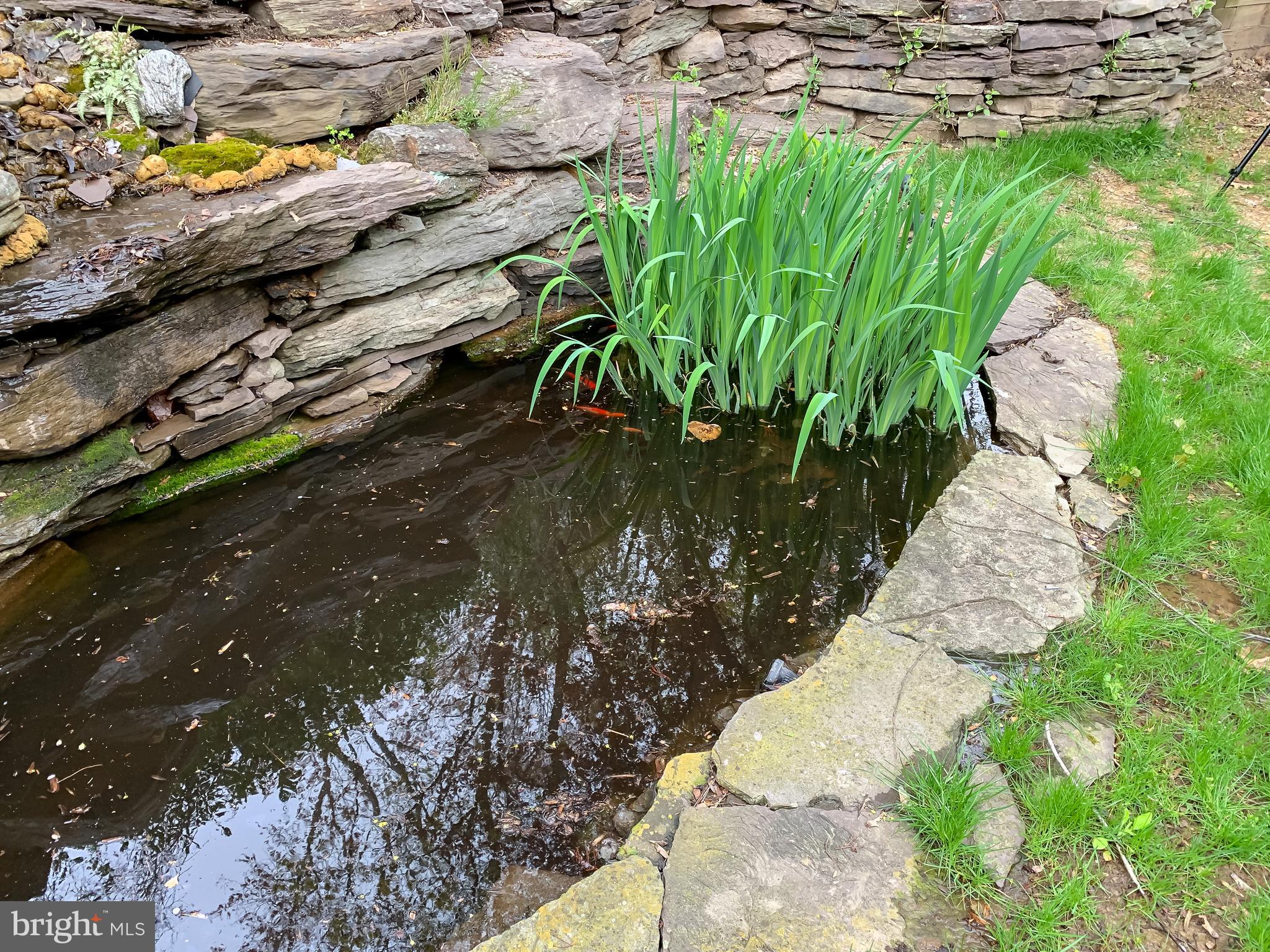107 East Knowlton Road Media, PA 19063 - Photo 35 of 39 Pond