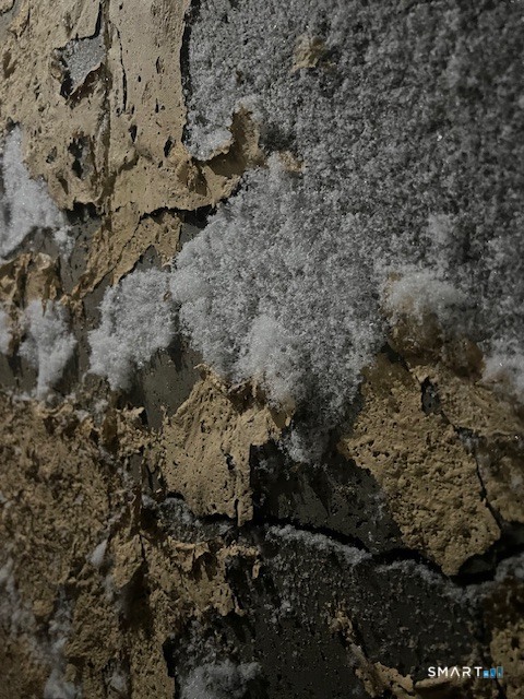 57 Hall Hill Road Willington, CT 06279 - Photo 7 of 12