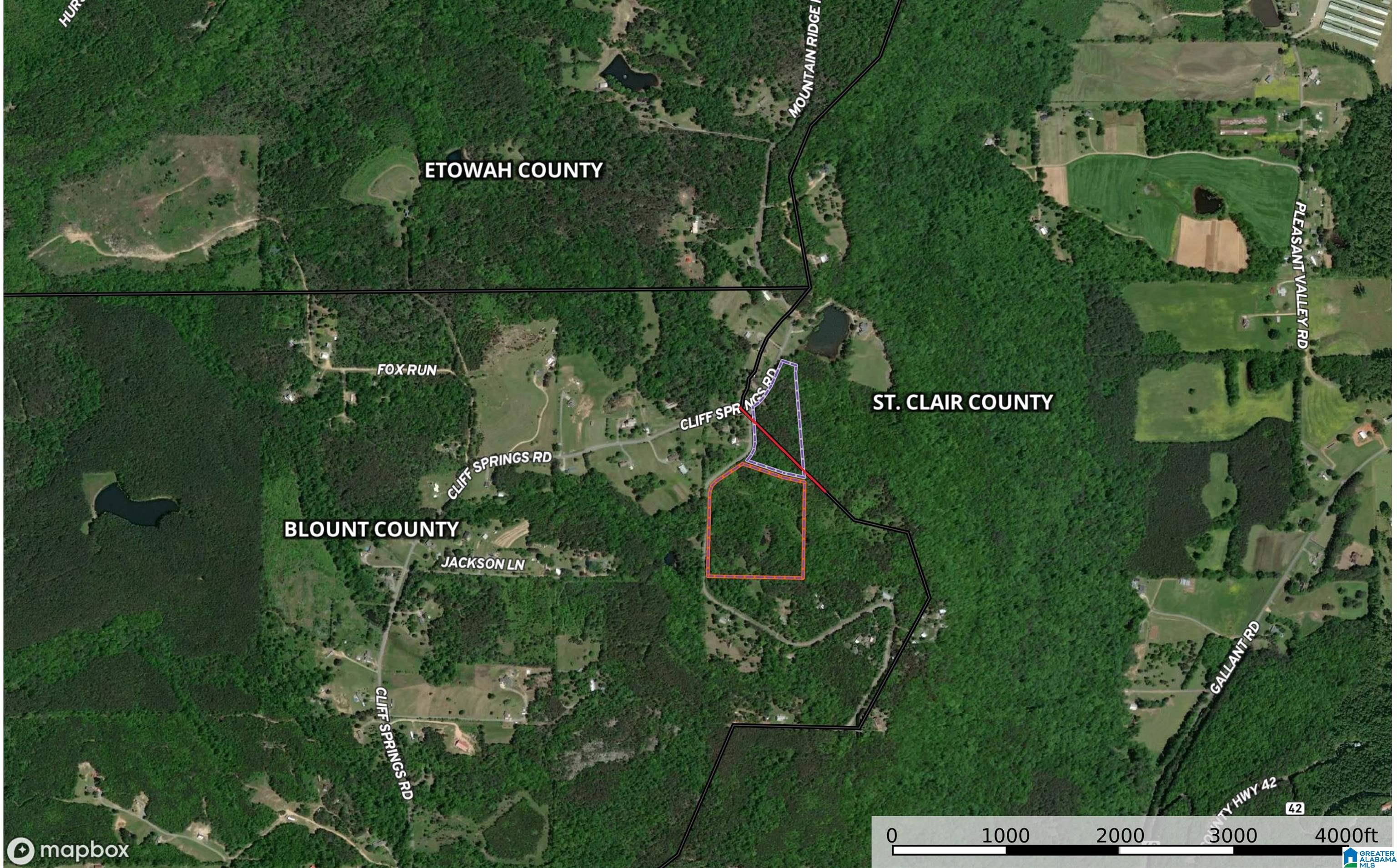 0 Cliff Springs Road, Unit 7 46 ACRES Gallant, AL 35972 - Photo 3 of 11