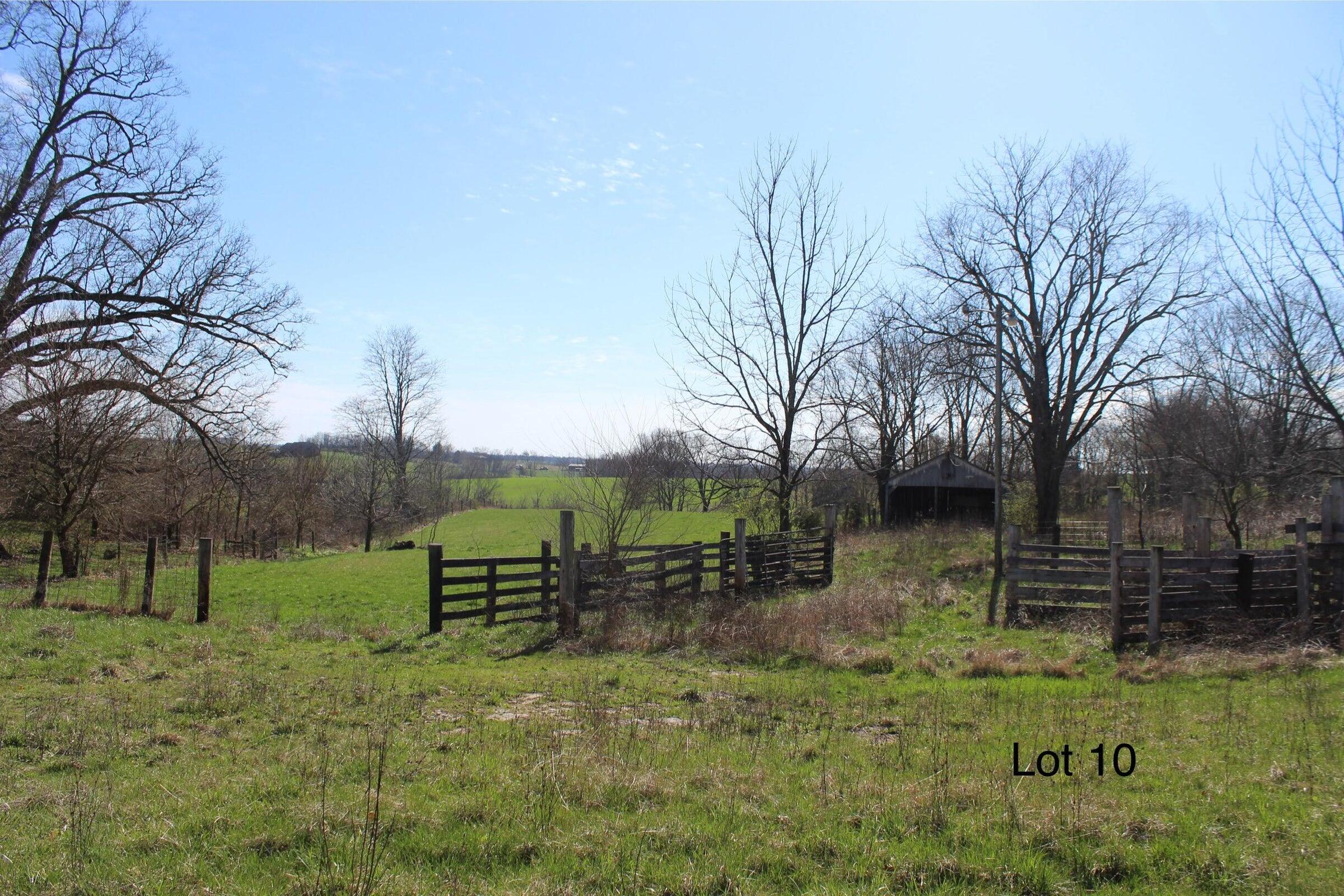 1874 Poindexter Road Cynthiana, KY 41031 - Photo 7 of 8 20260402164158175674000000-o