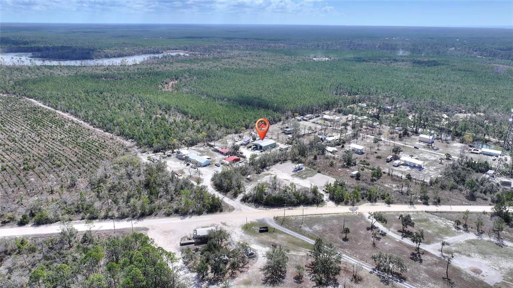 19550 Jody Morgan Road Perry, FL 32348 - Photo 20 of 79