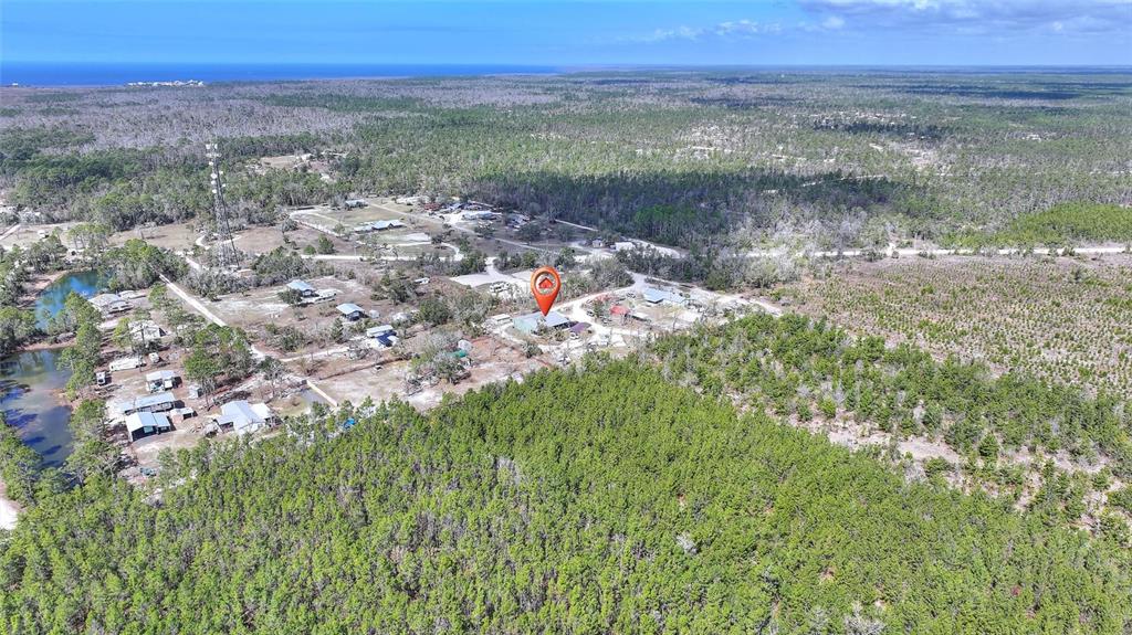 19550 Jody Morgan Road Perry, FL 32348 - Photo 24 of 79