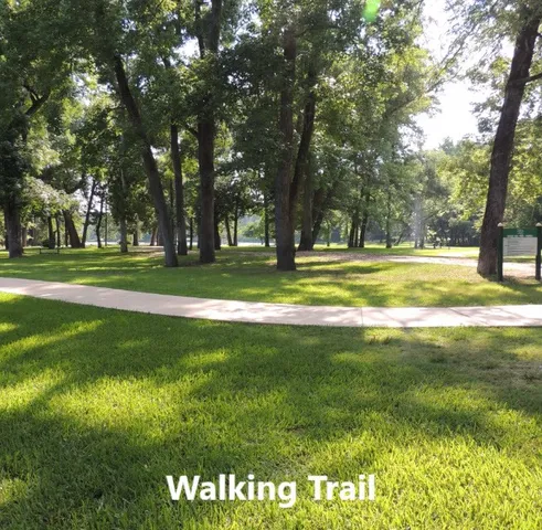 a view of a big yard with a large trees
