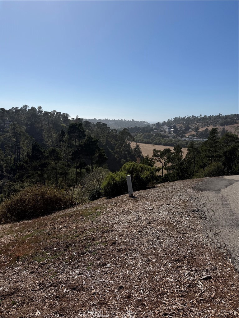 3123 Rogers Road Cambria, CA 93428 - Photo 2 of 2 Gallery Image 2