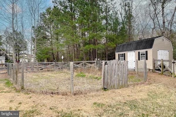 a view of a yard with a tree