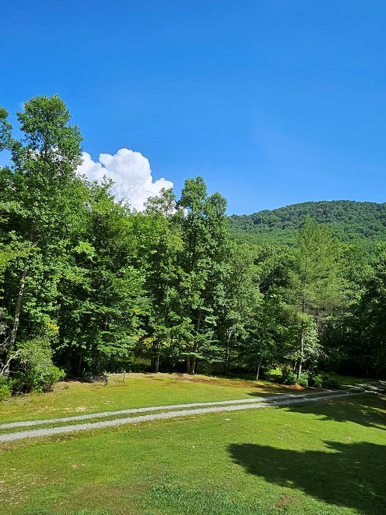 1171 Picklesimer Mountain Road Morganton, GA 30560 - Photo 35 of 60