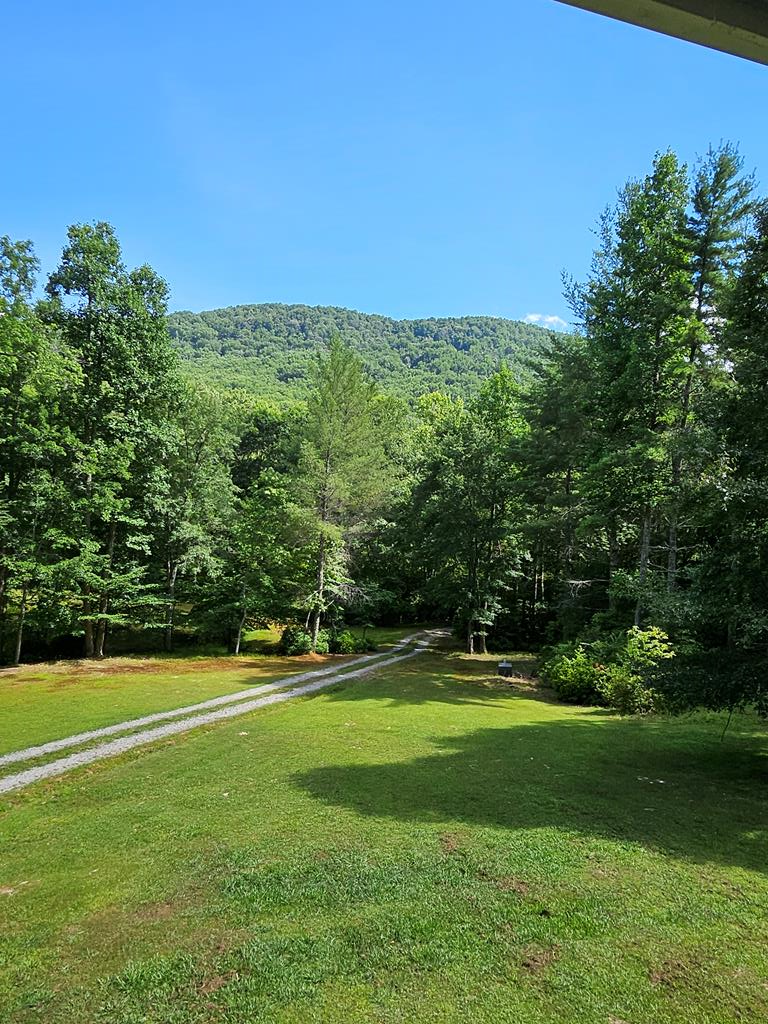 1171 Picklesimer Mountain Road Morganton, GA 30560 - Photo 36 of 60