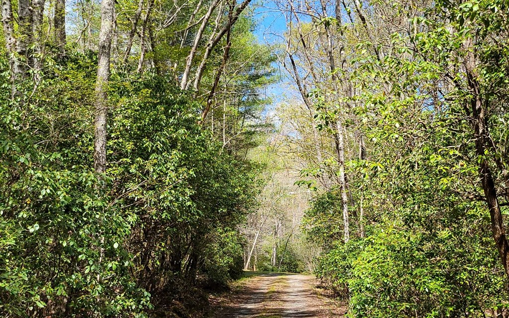 1171 Picklesimer Mountain Road Morganton, GA 30560 - Photo 4 of 60
