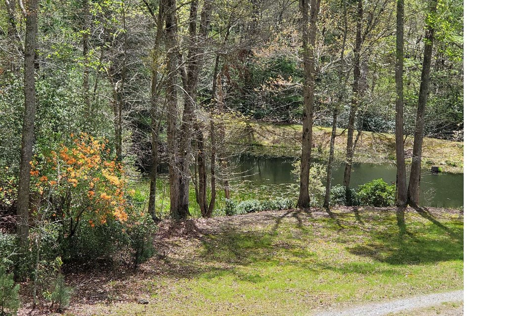 1171 Picklesimer Mountain Road Morganton, GA 30560 - Photo 57 of 60
