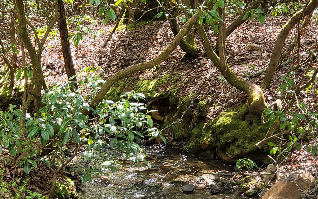 1171 Picklesimer Mountain Road Morganton, GA 30560 - Photo 58 of 60