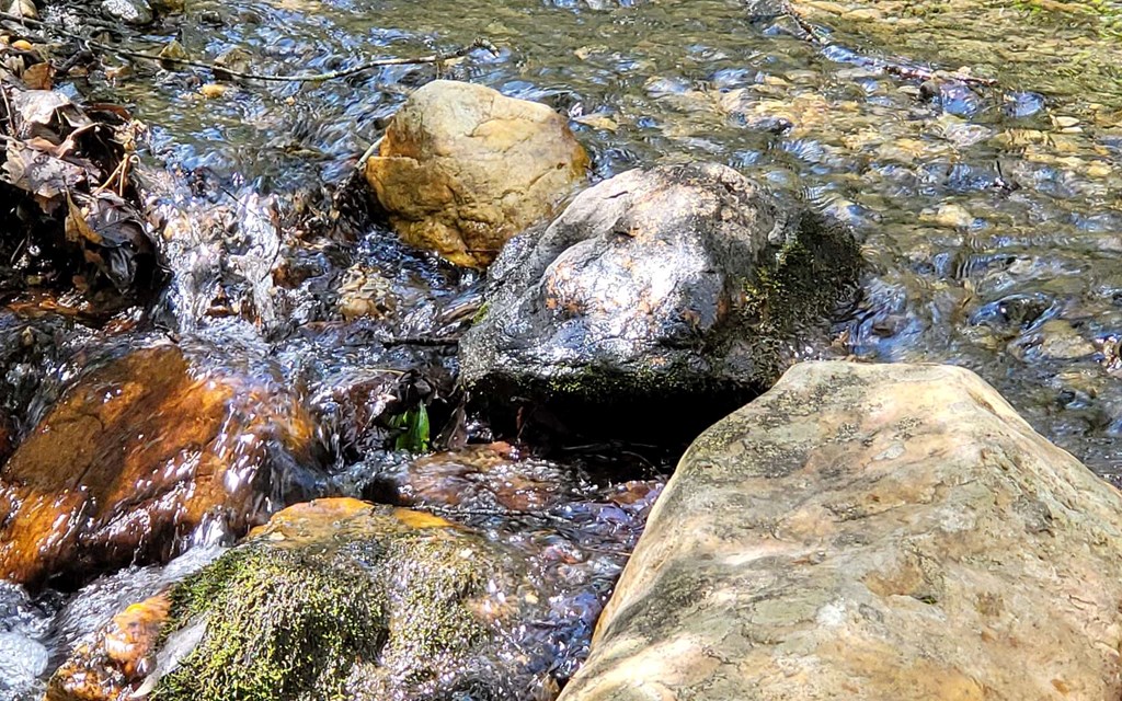 1171 Picklesimer Mountain Road Morganton, GA 30560 - Photo 59 of 60