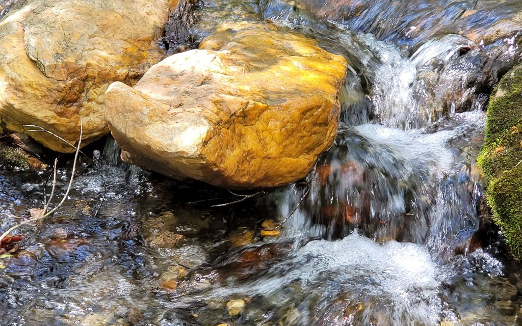 1171 Picklesimer Mountain Road Morganton, GA 30560 - Photo 60 of 60