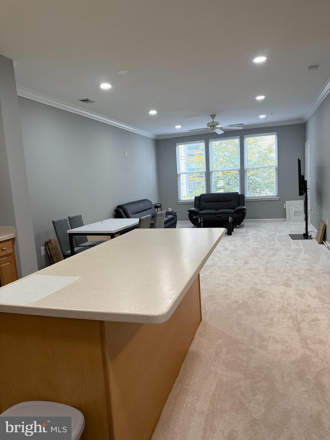 12001 Market Street, Unit 171 Reston, VA 20190 - Photo 3 of 10