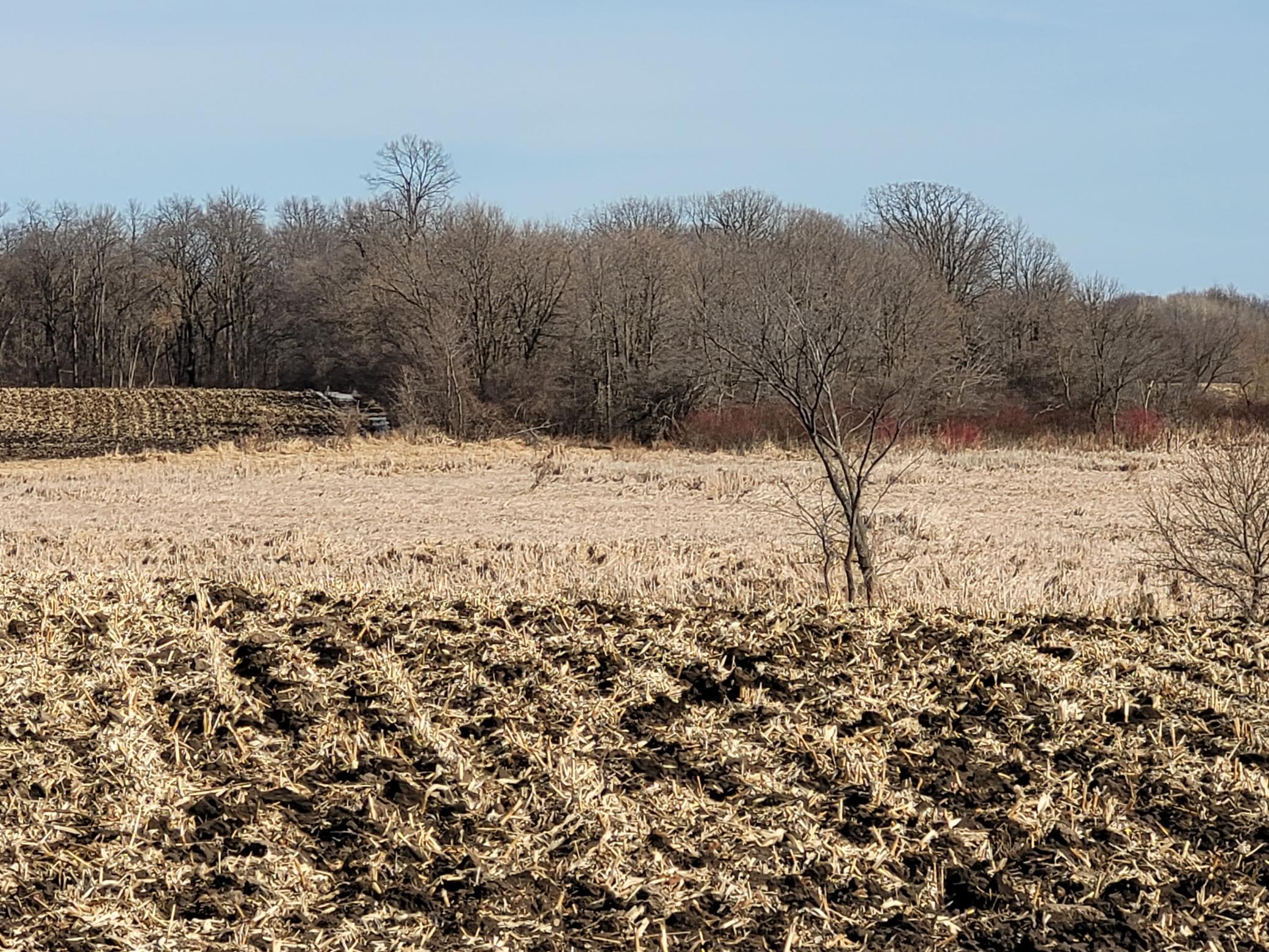 7 County Road 7 Northwest Maple Lake, MN 55358 - Photo 5 of 20