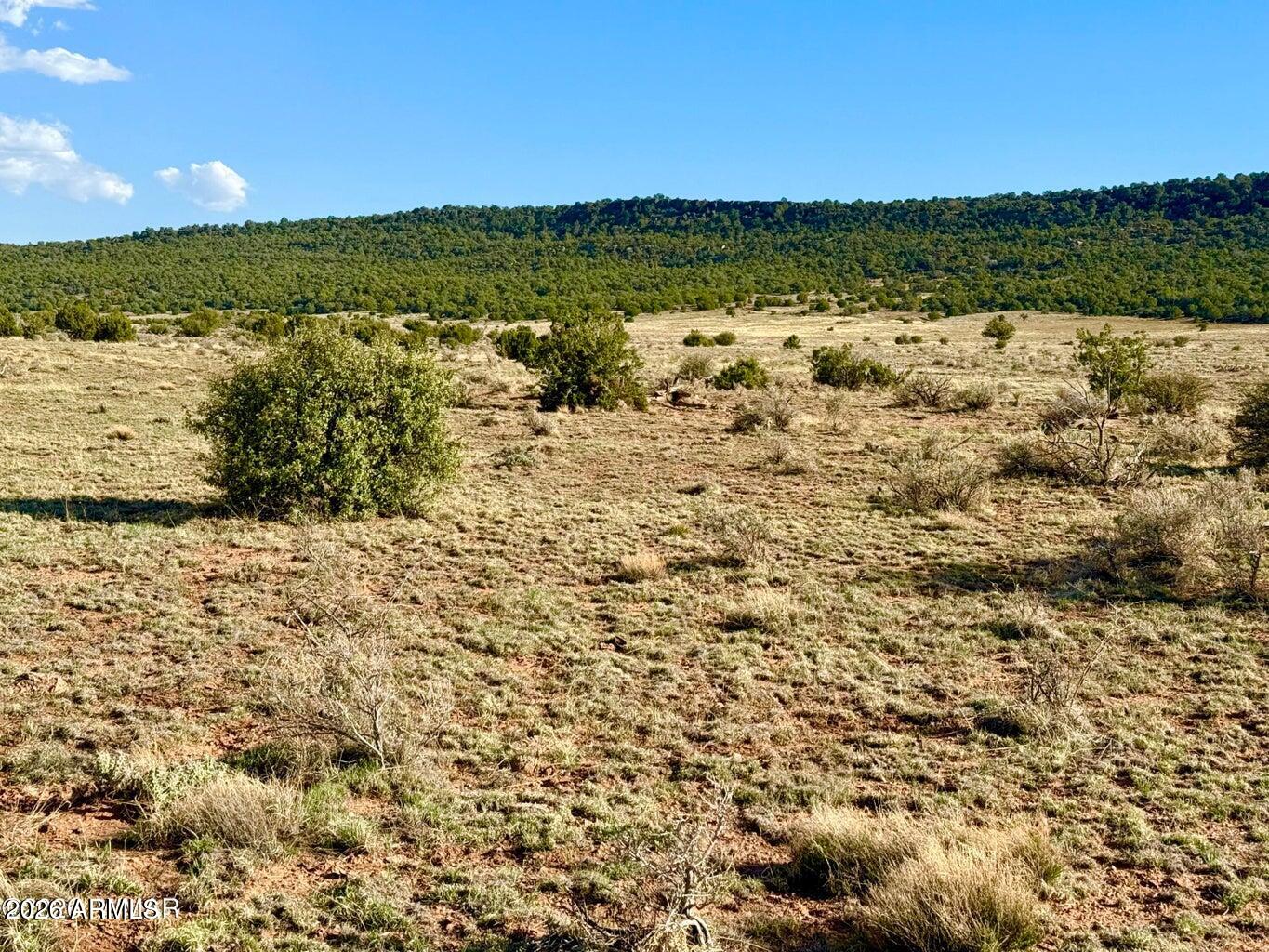 85 Co Road Concho, AZ 85924 - Photo 24 of 24 a view of lake view and mountain in back