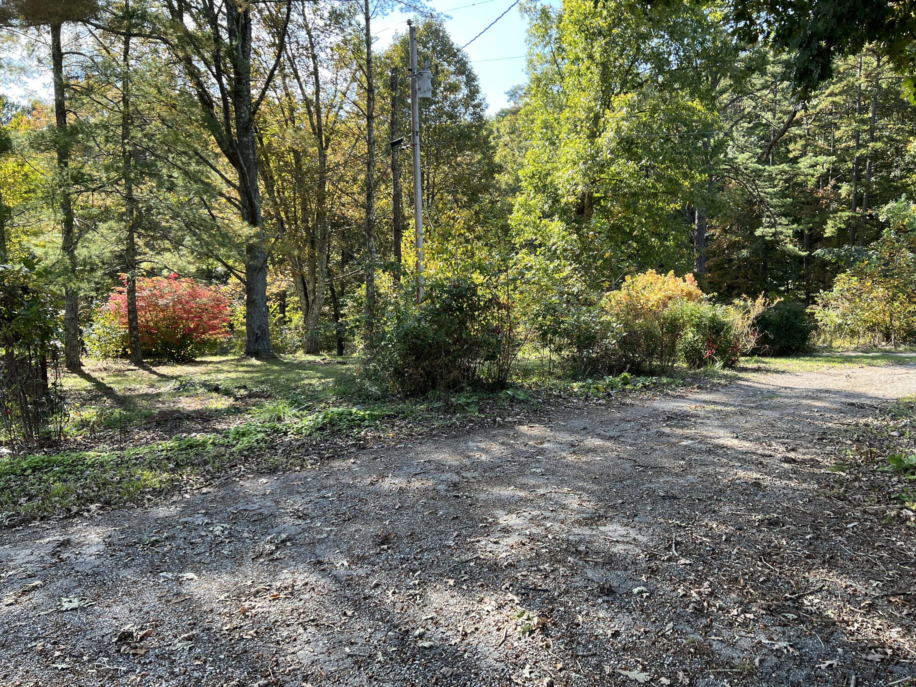 18547 Botetourt Road Eagle Rock, VA 24085 - Photo 6 of 17 a view of backyard with large trees