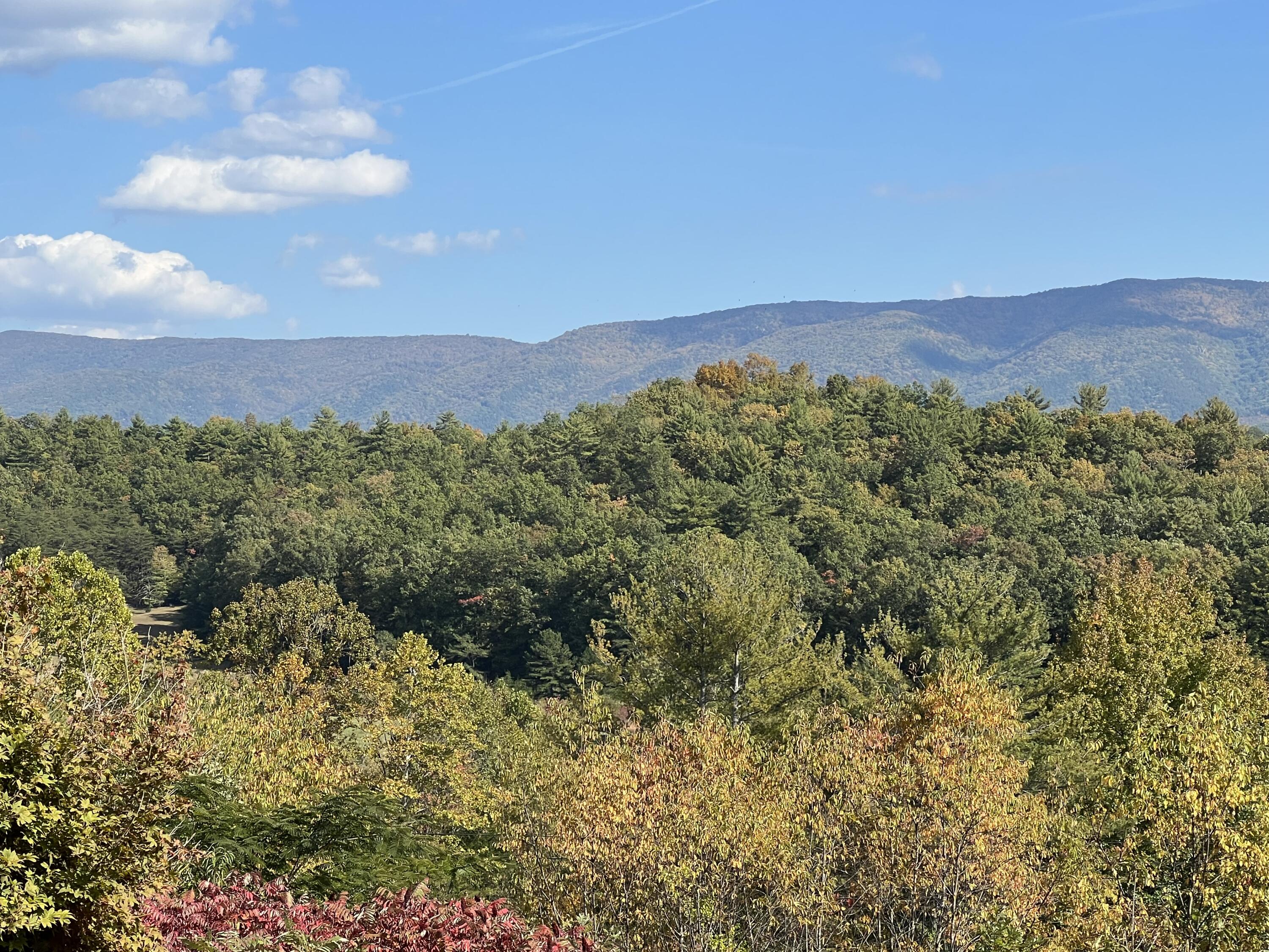 18547 Botetourt Road Eagle Rock, VA 24085 - Photo 8 of 17 a view of a city with lush green forest