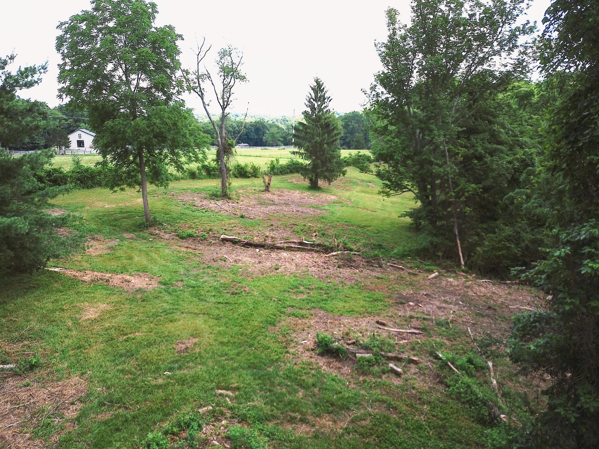 8870 Olentangy River Road Powell, OH 43065 - Photo 10 of 61 DJI_0945_(3)