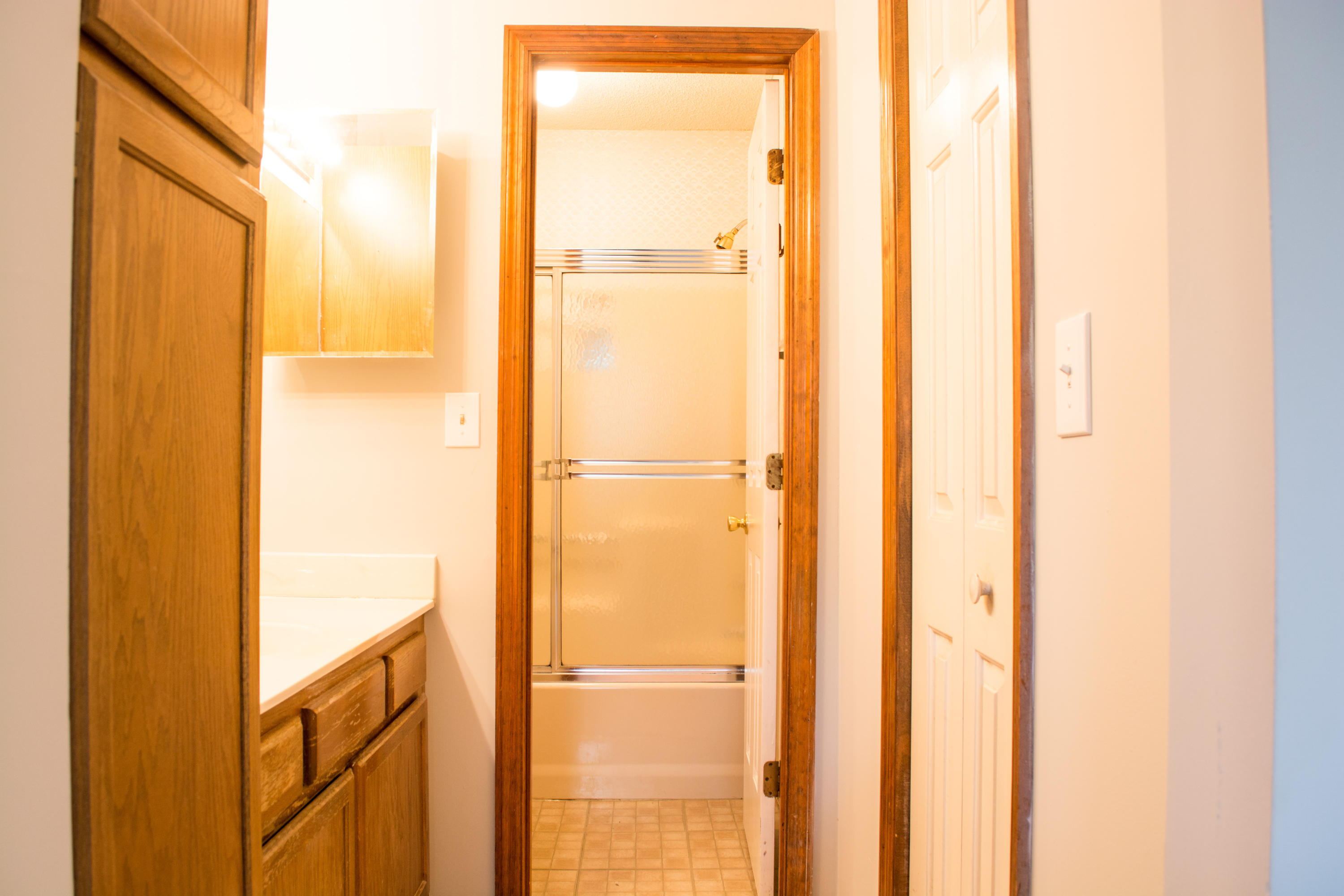 118 Jigsaw Road Summerville, SC 29485 - Photo 8 of 16 DSC_0832