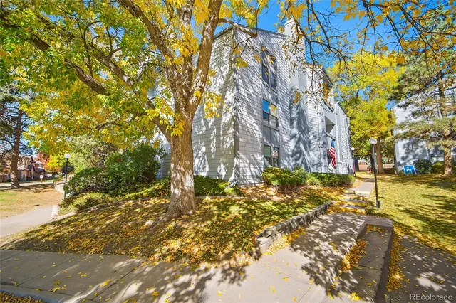 a view of a yard with trees