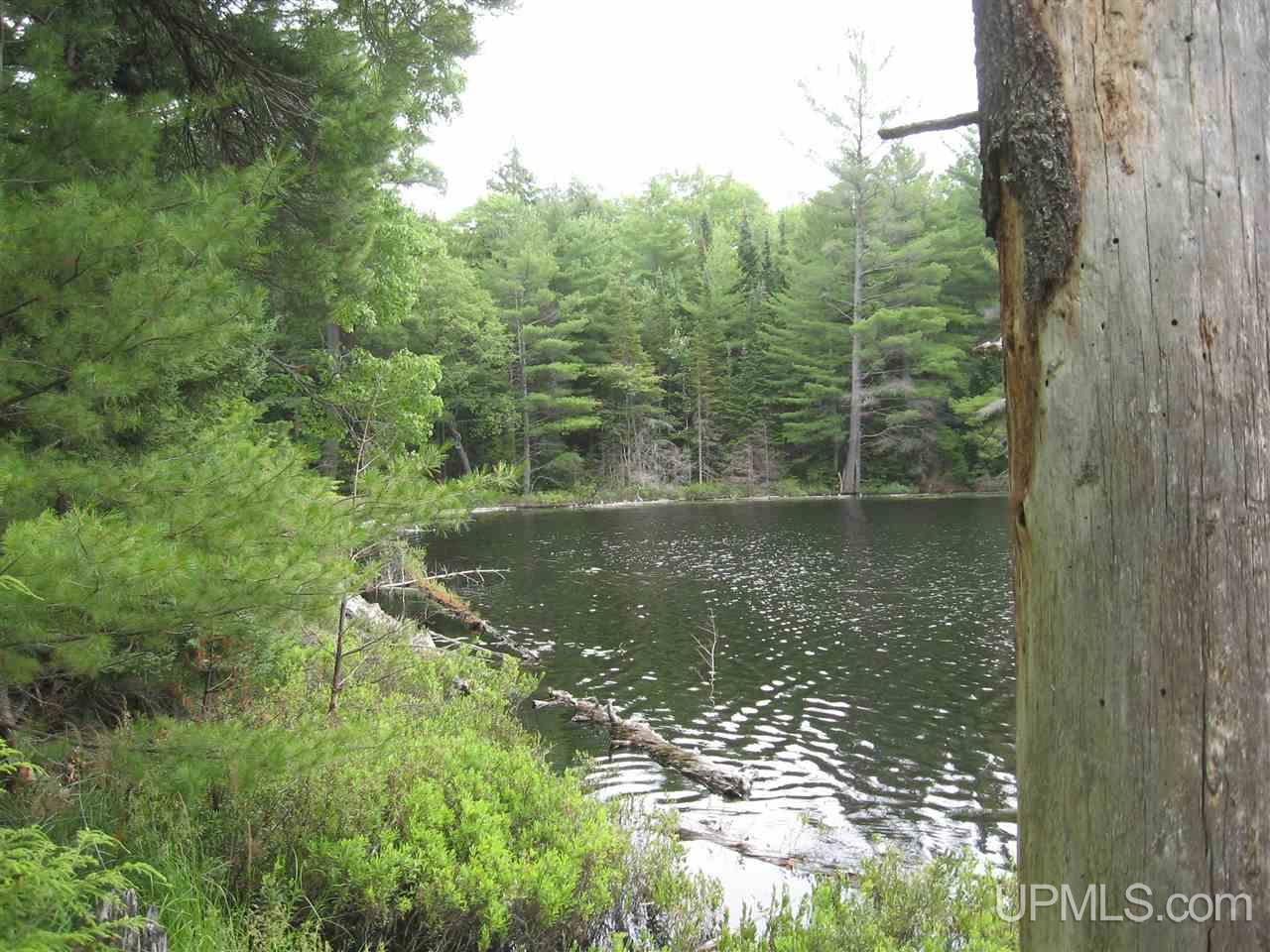 0 Rhody Cr, Unit CARTER LAKE RDP Seney, MI 49883 - Photo 24 of 36