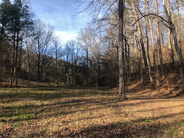Mcspadden Road Maryville, TN 37803 - Photo 5 of 5 Scott4