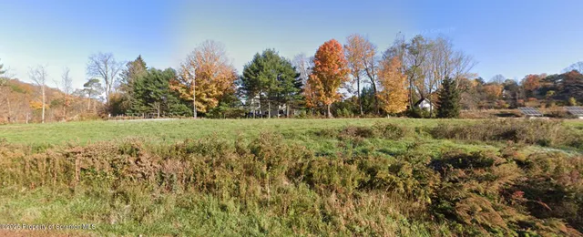 a view of a field with trees in the background