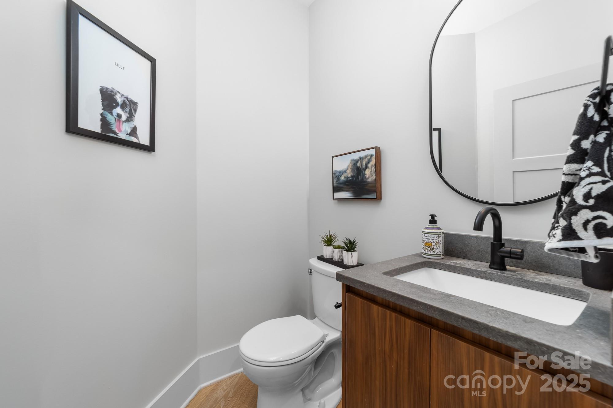 233 Conifer Way Shelby, NC 28150 - Photo 42 of 46