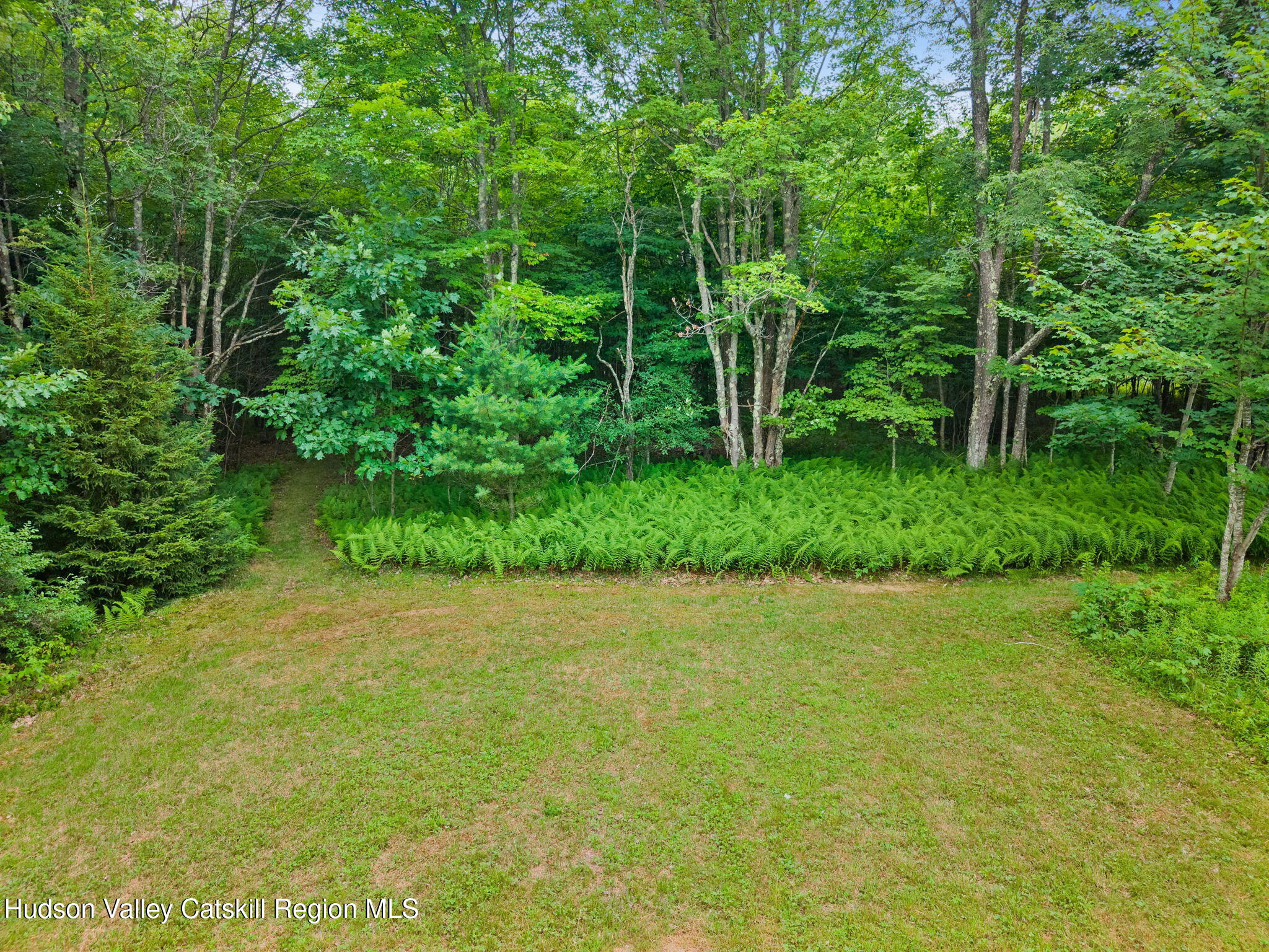 463 Harrington Road Gilboa, NY 12076 - Photo 43 of 49 44-463HarringtonRd_44