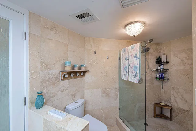 a bathroom with a shower and toilet