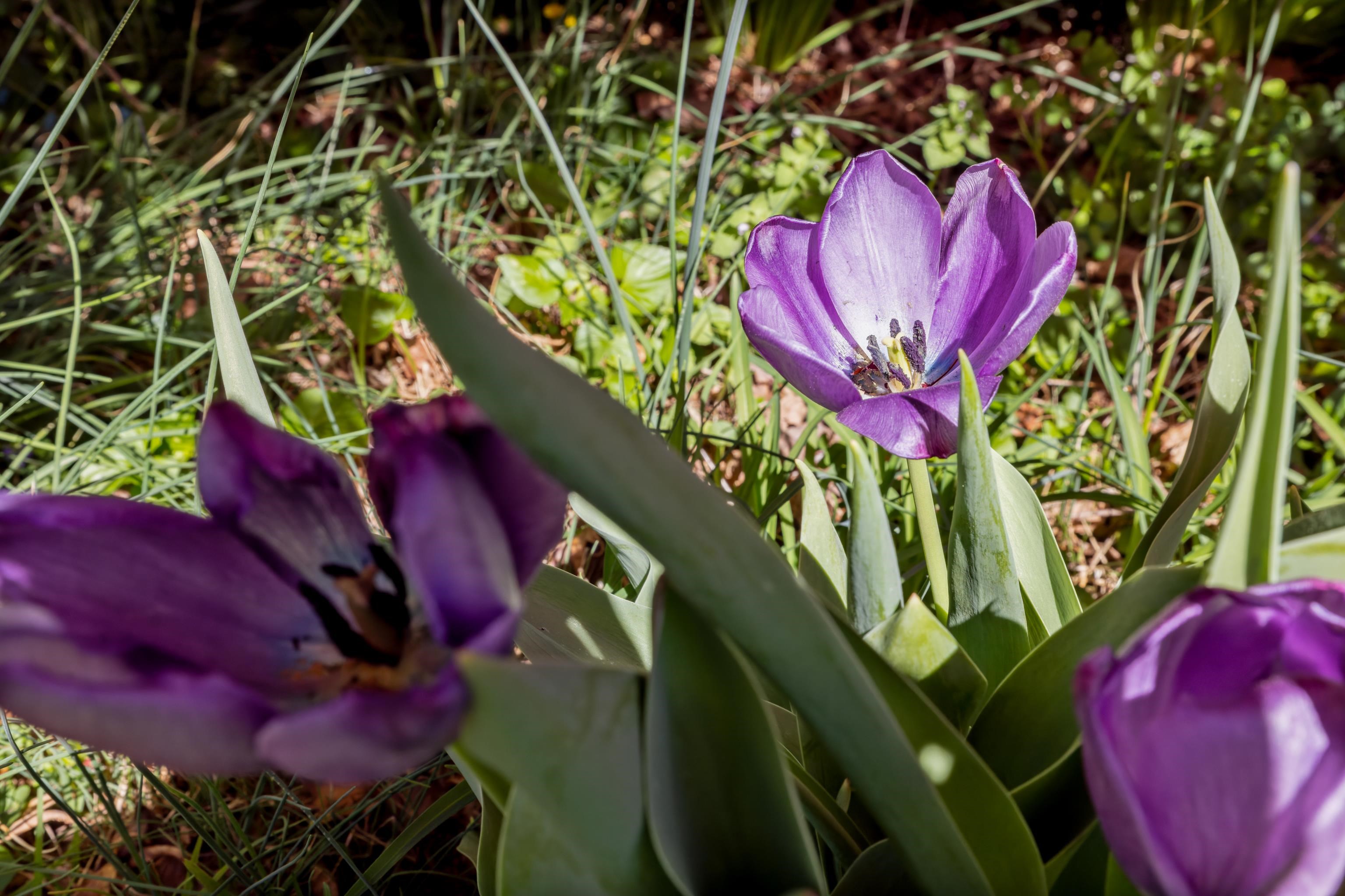 1368 Bluewater Road Harrisonburg, VA 22801 - Photo 55 of 72 Gallery Image 55