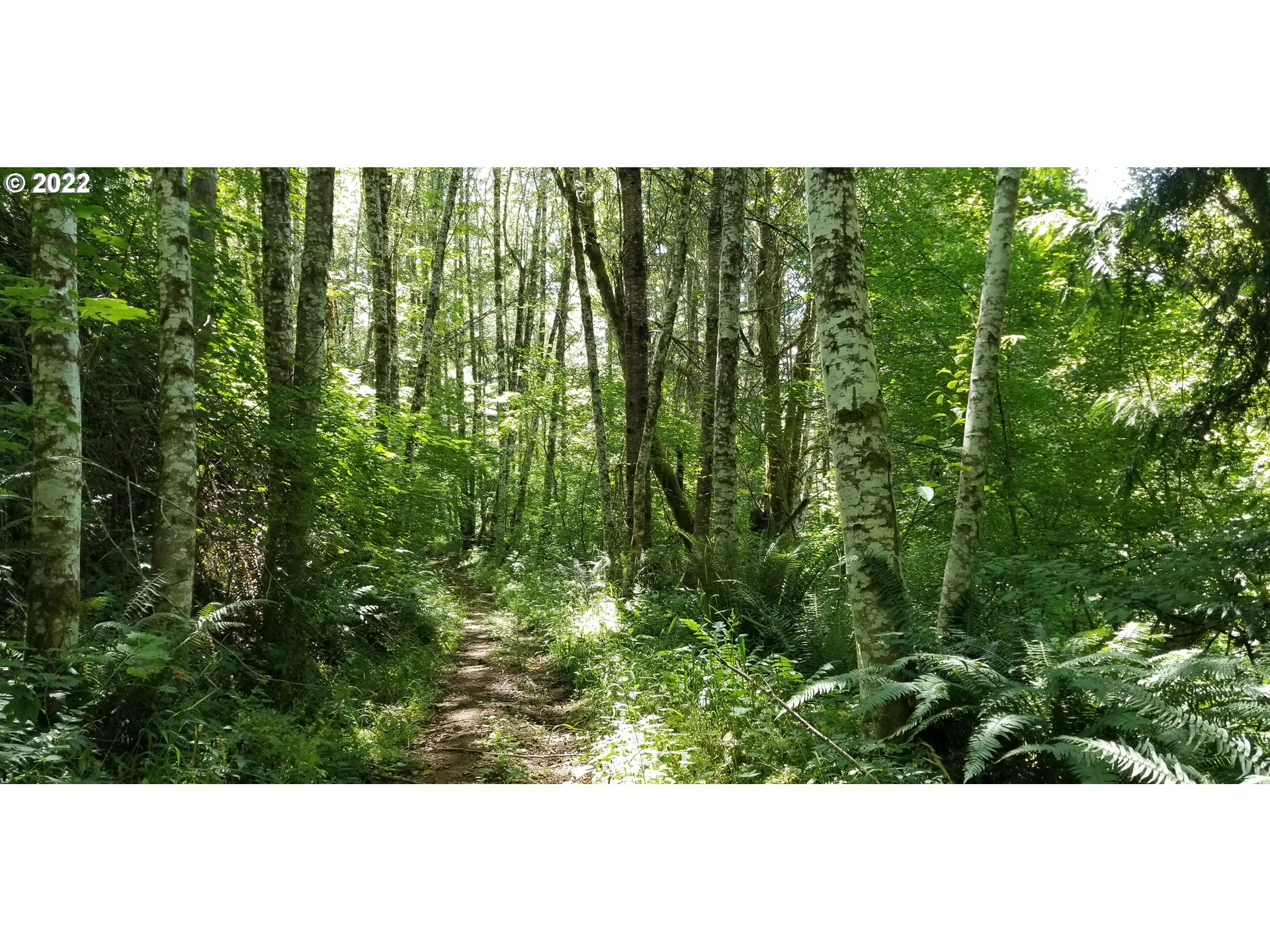 0 Northwest Dixie Mountain Road Scappoose, OR 97056 - Photo 2 of 3 Gallery Image 2