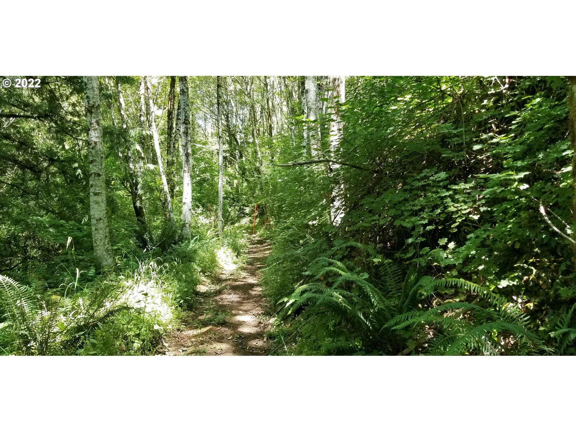 0 Northwest Dixie Mountain Road Scappoose, OR 97056 - Photo 3 of 3 Gallery Image 3
