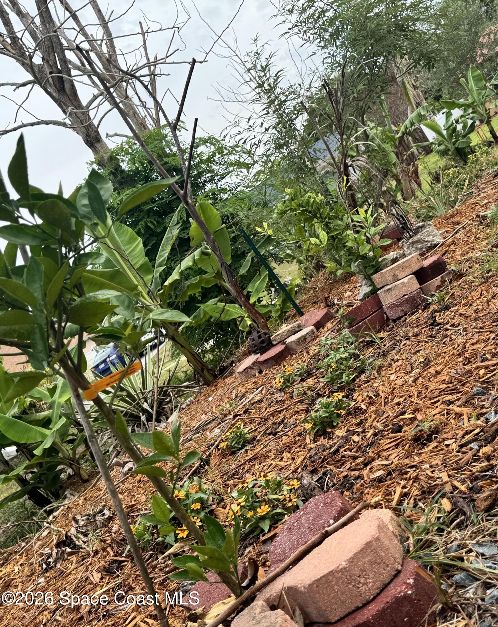 414 Hancock Street Palm Bay, FL 32908 - Photo 24 of 31 IMG_4947