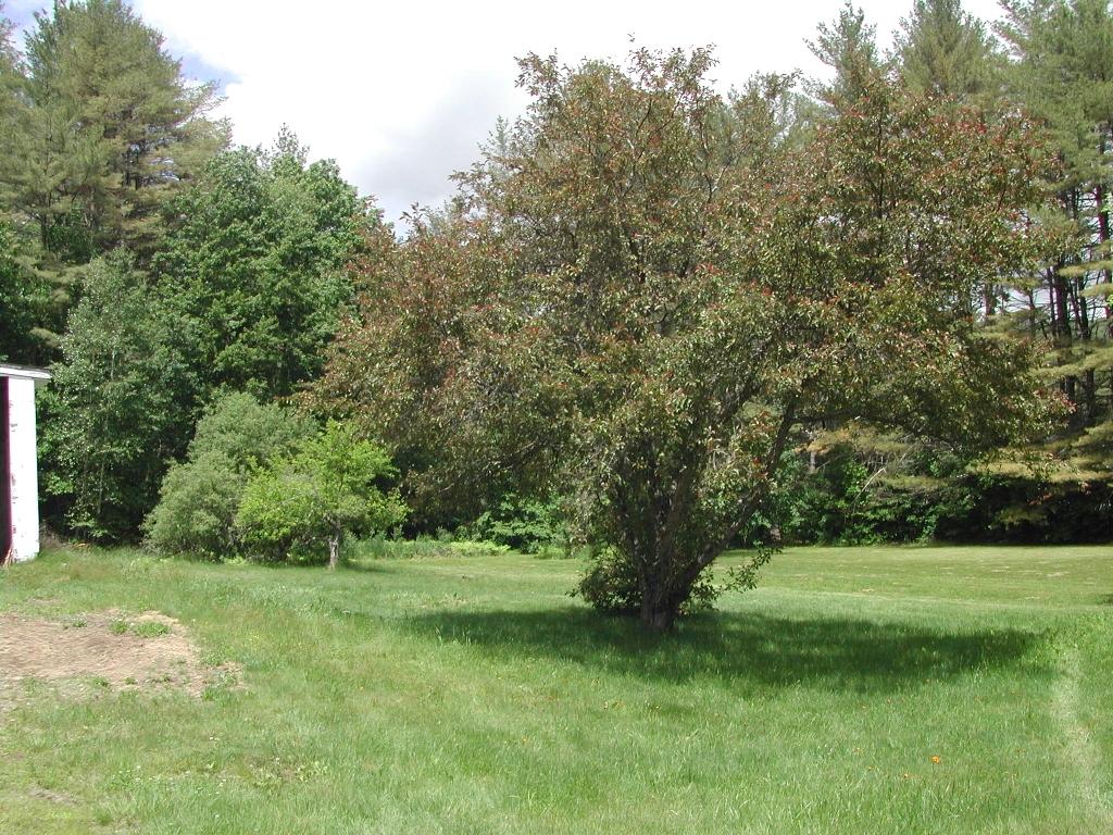 7 Country Lane Hebron, NH 03241 - Photo 8 of 26