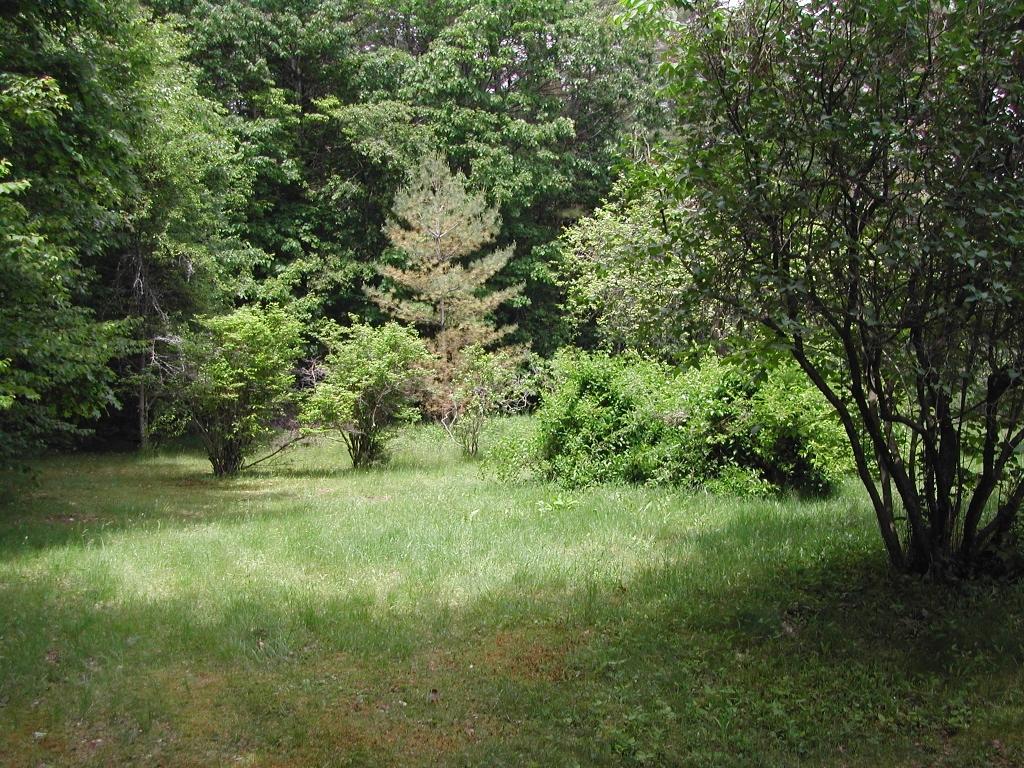 7 Country Lane Hebron, NH 03241 - Photo 9 of 26