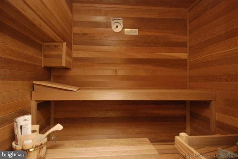 17024 Barn Ridge Drive Silver Spring, MD 20906 - Photo 23 of 23 Sauna